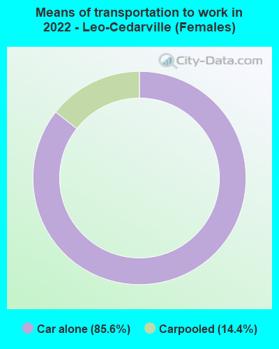 Means of transportation to work in 2022 - Leo-Cedarville (Females)