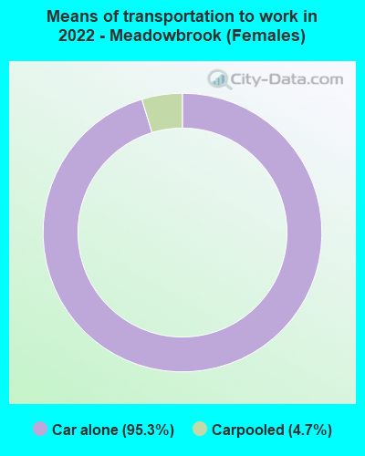 Means of transportation to work in 2022 - Meadowbrook (Females)