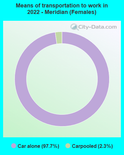 Means of transportation to work in 2022 - Meridian (Females)