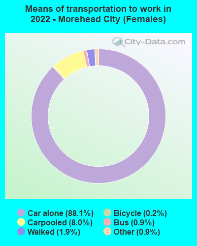 Means of transportation to work in 2022 - Morehead City (Females)