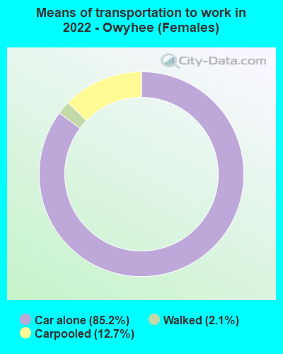 Means of transportation to work in 2022 - Owyhee (Females)