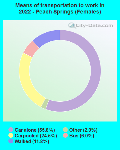 Means of transportation to work in 2022 - Peach Springs (Females)