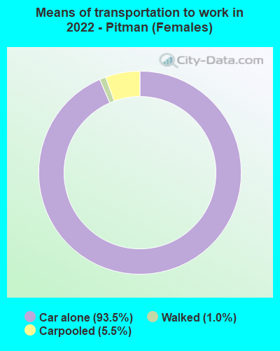 Means of transportation to work in 2022 - Pitman (Females)