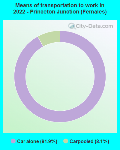 Means of transportation to work in 2022 - Princeton Junction (Females)