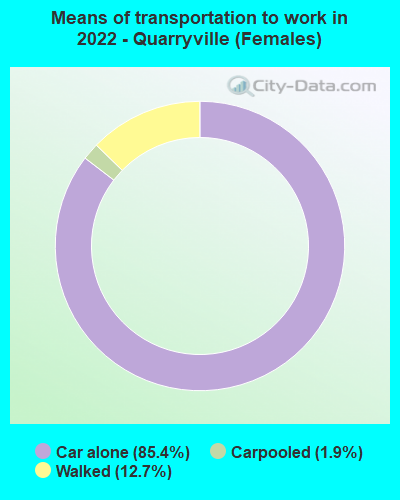 Means of transportation to work in 2022 - Quarryville (Females)