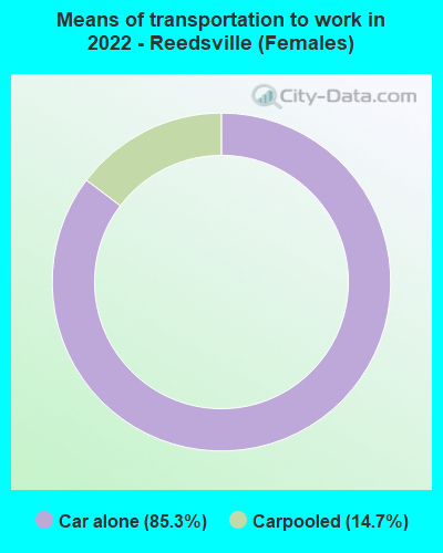 Means of transportation to work in 2022 - Reedsville (Females)