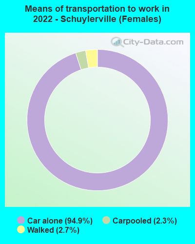 Means of transportation to work in 2022 - Schuylerville (Females)