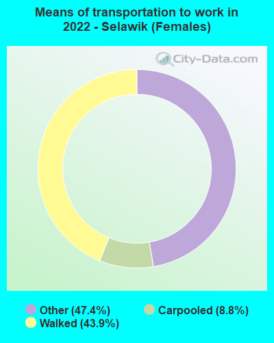 Means of transportation to work in 2022 - Selawik (Females)