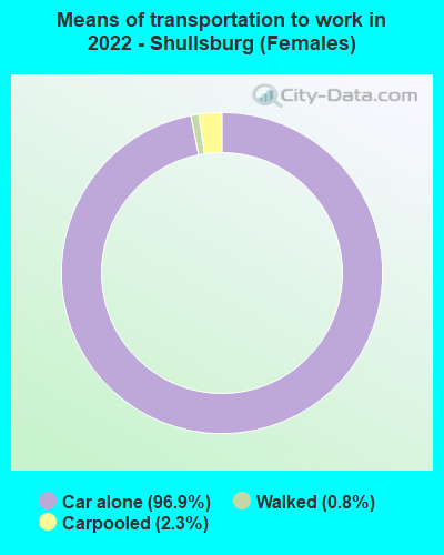 Means of transportation to work in 2022 - Shullsburg (Females)