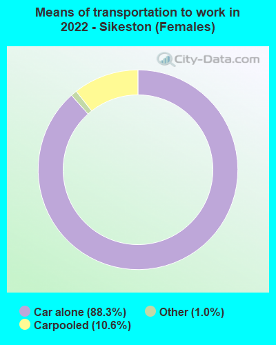 Means of transportation to work in 2022 - Sikeston (Females)