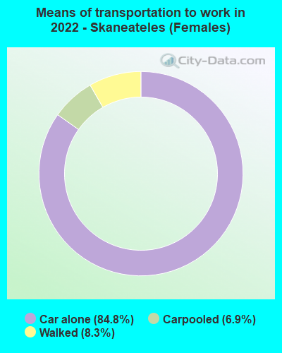 Means of transportation to work in 2022 - Skaneateles (Females)