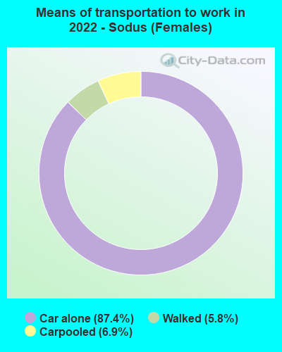 Means of transportation to work in 2022 - Sodus (Females)