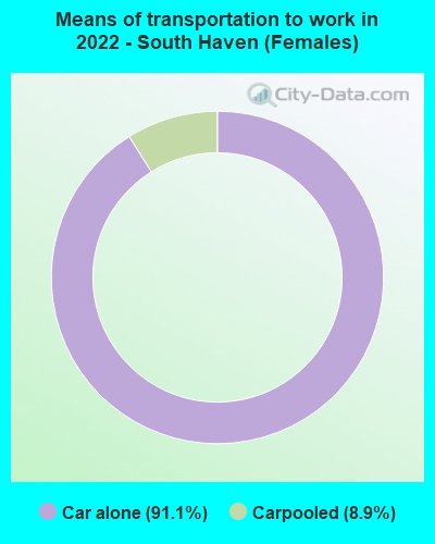 Means of transportation to work in 2022 - South Haven (Females)