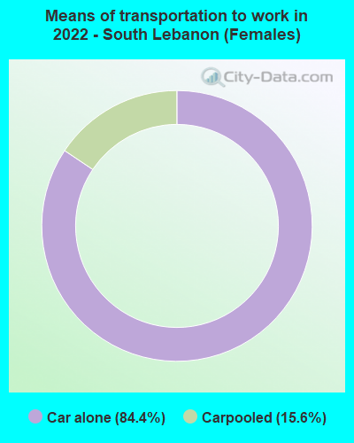 Means of transportation to work in 2022 - South Lebanon (Females)