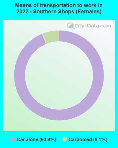 Means of transportation to work in 2022 - Southern Shops (Females)