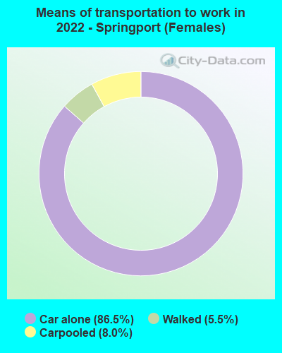 Means of transportation to work in 2022 - Springport (Females)