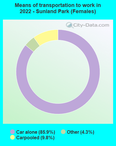 Means of transportation to work in 2022 - Sunland Park (Females)