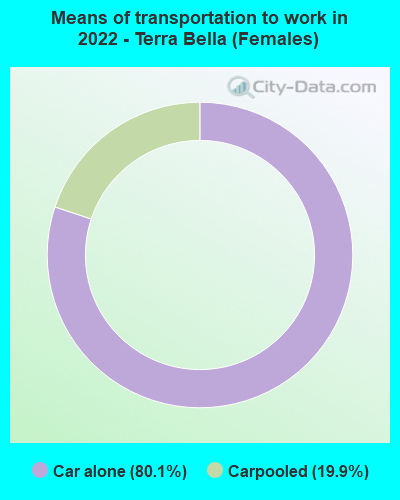 Means of transportation to work in 2022 - Terra Bella (Females)