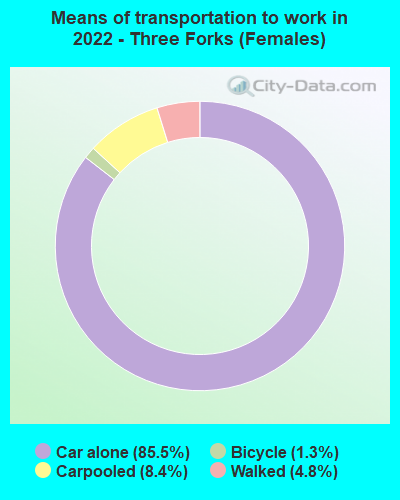 Means of transportation to work in 2022 - Three Forks (Females)