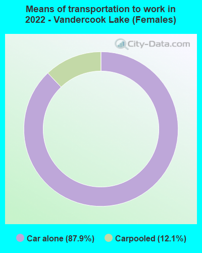 Means of transportation to work in 2022 - Vandercook Lake (Females)