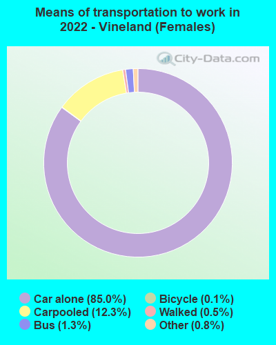 Means of transportation to work in 2022 - Vineland (Females)