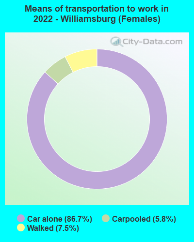 Means of transportation to work in 2022 - Williamsburg (Females)