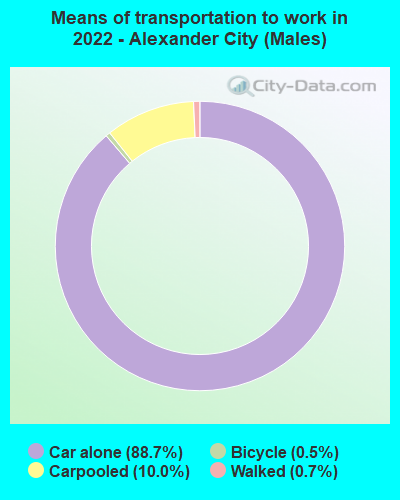 Means of transportation to work in 2022 - Alexander City (Males)