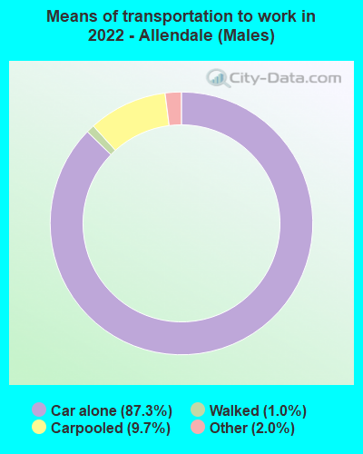 Means of transportation to work in 2022 - Allendale (Males)