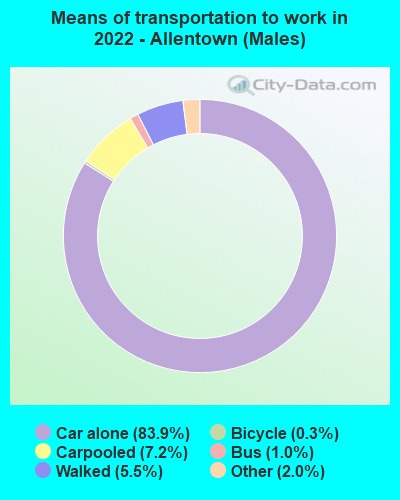 Means of transportation to work in 2022 - Allentown (Males)