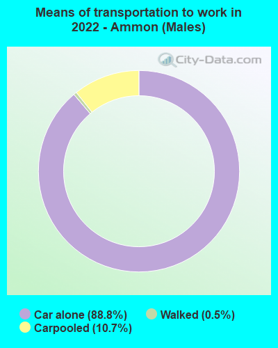 Means of transportation to work in 2022 - Ammon (Males)