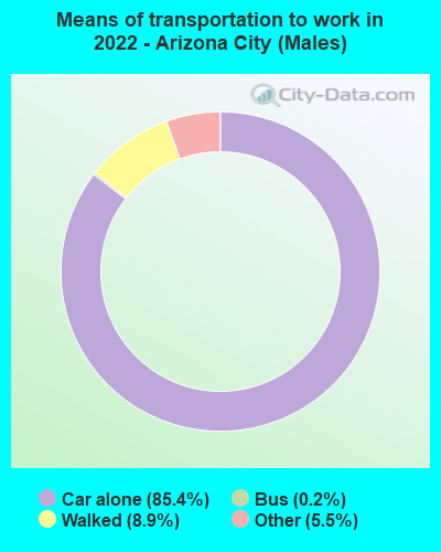 Means of transportation to work in 2022 - Arizona City (Males)
