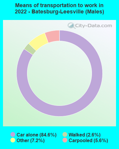 Means of transportation to work in 2022 - Batesburg-Leesville (Males)