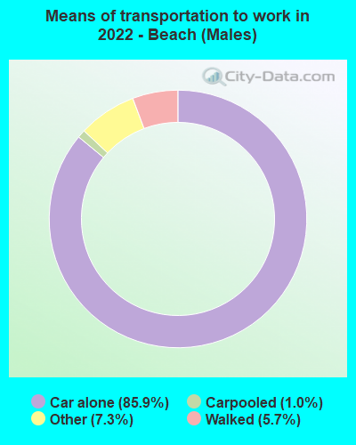 Means of transportation to work in 2022 - Beach (Males)