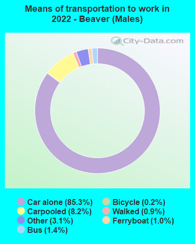 Means of transportation to work in 2022 - Beaver (Males)