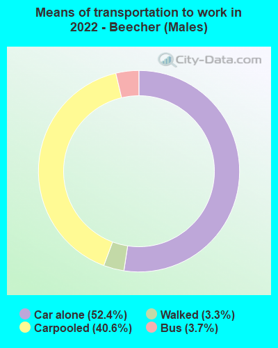 Means of transportation to work in 2022 - Beecher (Males)