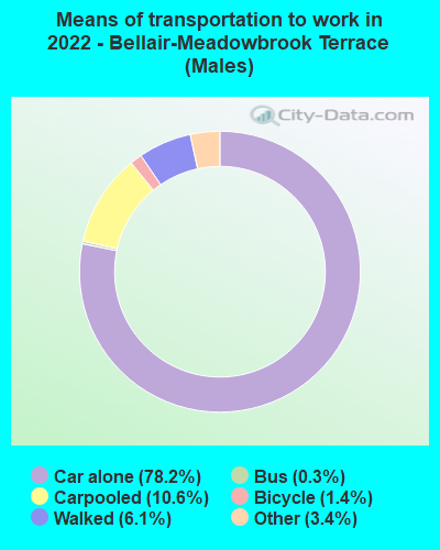 Means of transportation to work in 2022 - Bellair-Meadowbrook Terrace (Males)