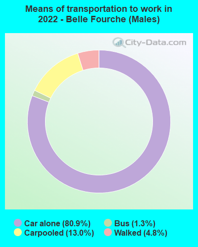 Means of transportation to work in 2022 - Belle Fourche (Males)