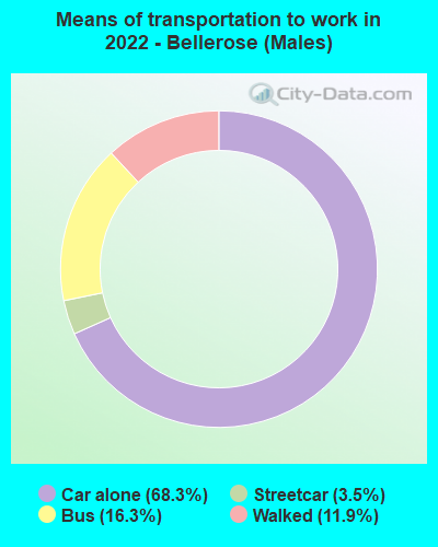 Means of transportation to work in 2022 - Bellerose (Males)