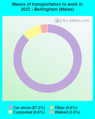 Means of transportation to work in 2022 - Bellingham (Males)