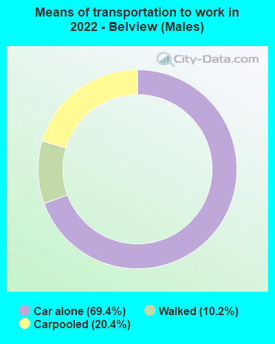 Means of transportation to work in 2022 - Belview (Males)