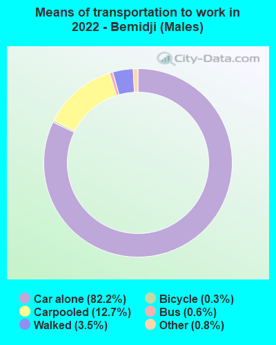 Means of transportation to work in 2022 - Bemidji (Males)