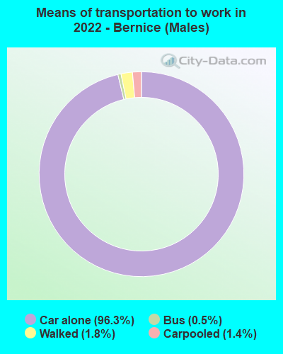 Means of transportation to work in 2022 - Bernice (Males)