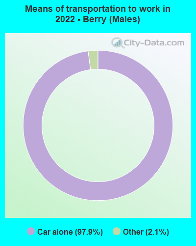 Means of transportation to work in 2022 - Berry (Males)