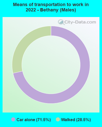 Means of transportation to work in 2022 - Bethany (Males)