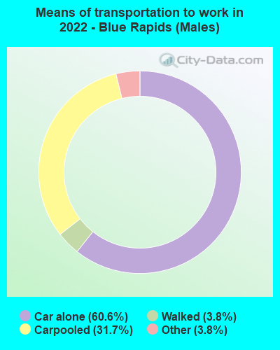 Means of transportation to work in 2022 - Blue Rapids (Males)