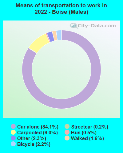 Means of transportation to work in 2022 - Boise (Males)
