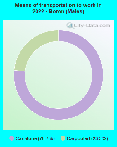 Means of transportation to work in 2022 - Boron (Males)