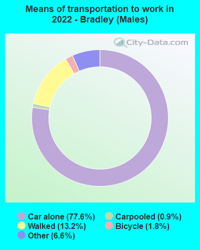 Means of transportation to work in 2022 - Bradley (Males)