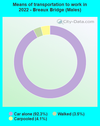 Means of transportation to work in 2022 - Breaux Bridge (Males)