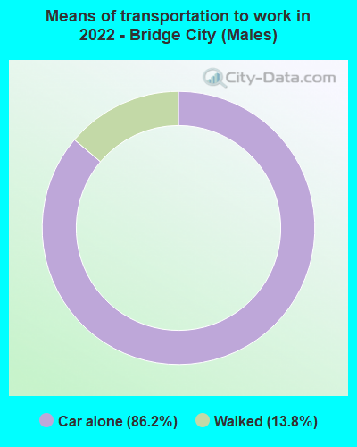 Means of transportation to work in 2022 - Bridge City (Males)